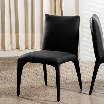 Toulon Dining Chair-Black hover image