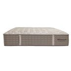 Sealy Andaria Flex Queen Size Mattress Firm
