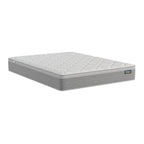 Argo Mattress Queen Medium