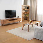 Coco Entertainment Unit