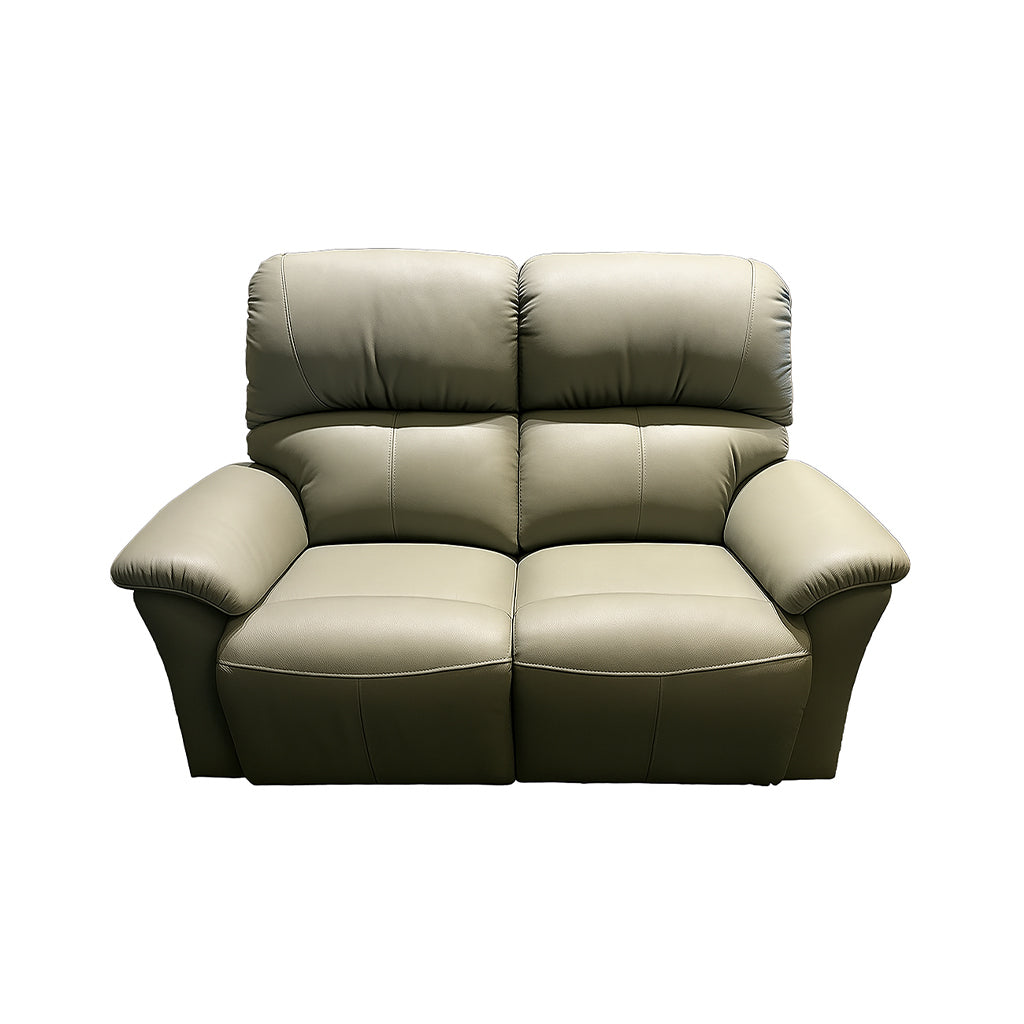 Penrose 2 Seater Leather Sofa-Olive