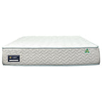 Domino Sprint Single Size Mattress Firm