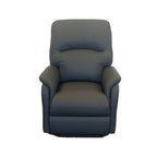 Temora Leather Armchair