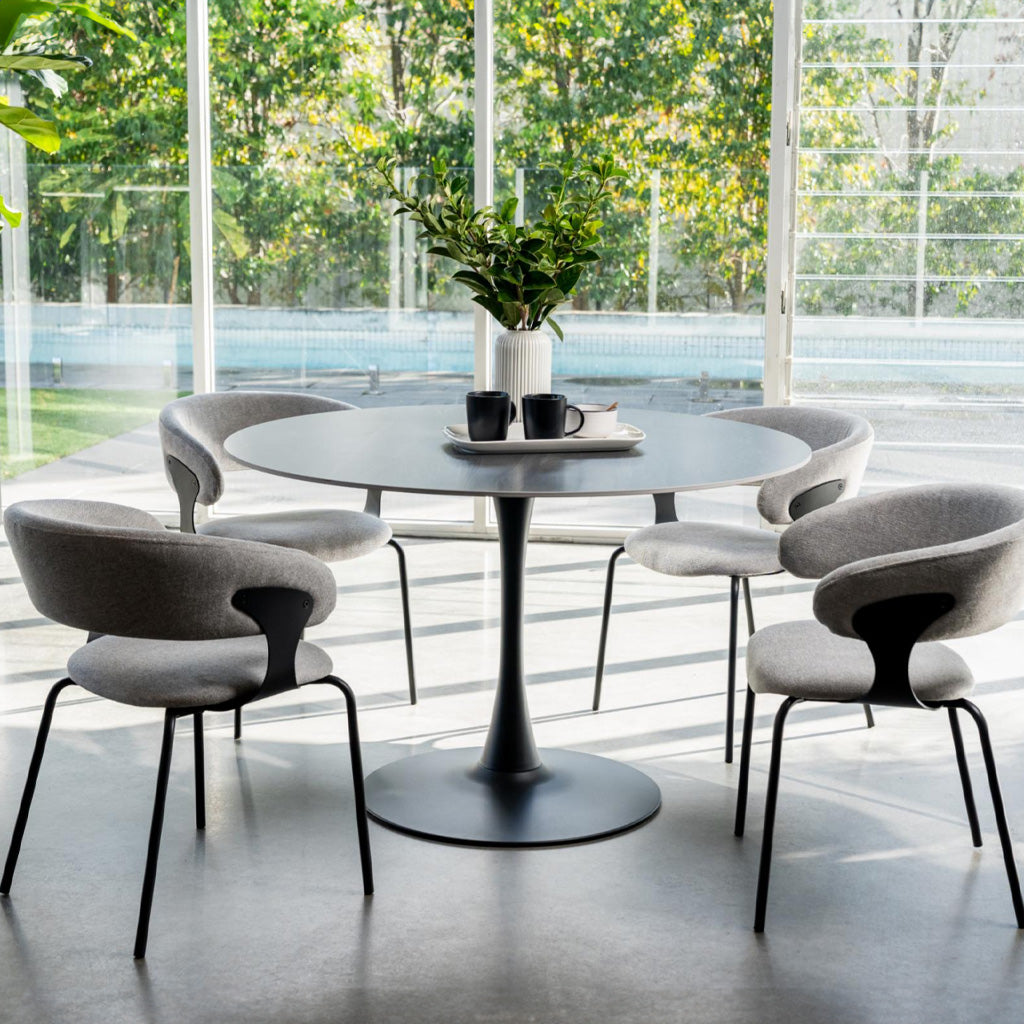 Kenny Dining Chair Set of 2-Silver Grey