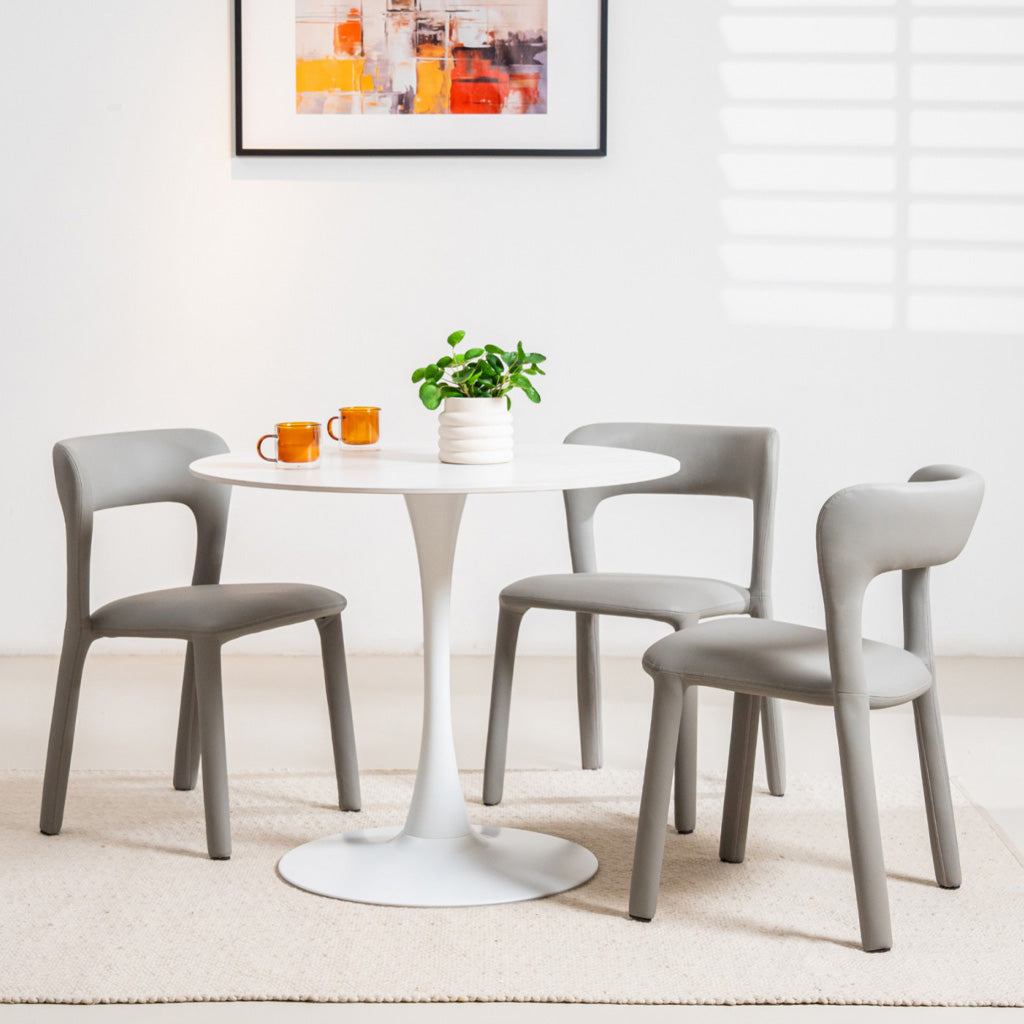 Madrid Dining Chair Set of 2